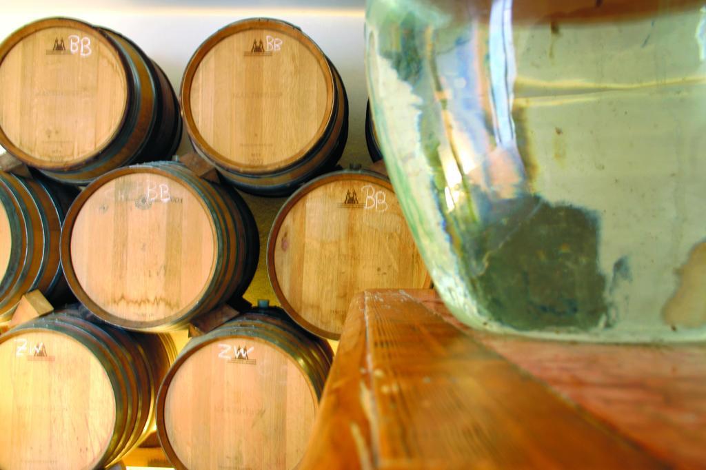 Hotel Weingut Martinshof Sankt Ulrich  Esterno foto