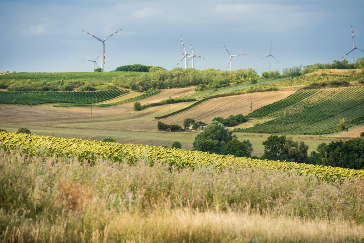 Hotel Weingut Martinshof Sankt Ulrich  Esterno foto