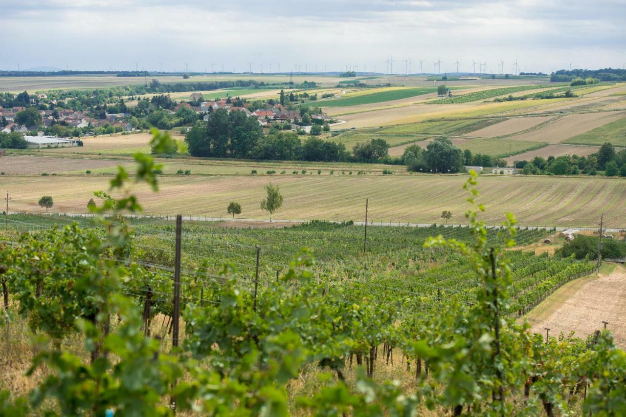 Hotel Weingut Martinshof Sankt Ulrich  Esterno foto